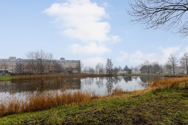 Medium property photo - Aak 11, 4617 GA Bergen op Zoom